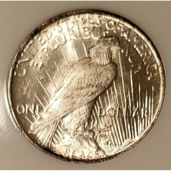 1923 Peace Silver Dollar MS64 NGC OH Toning - Picture 4 of 4